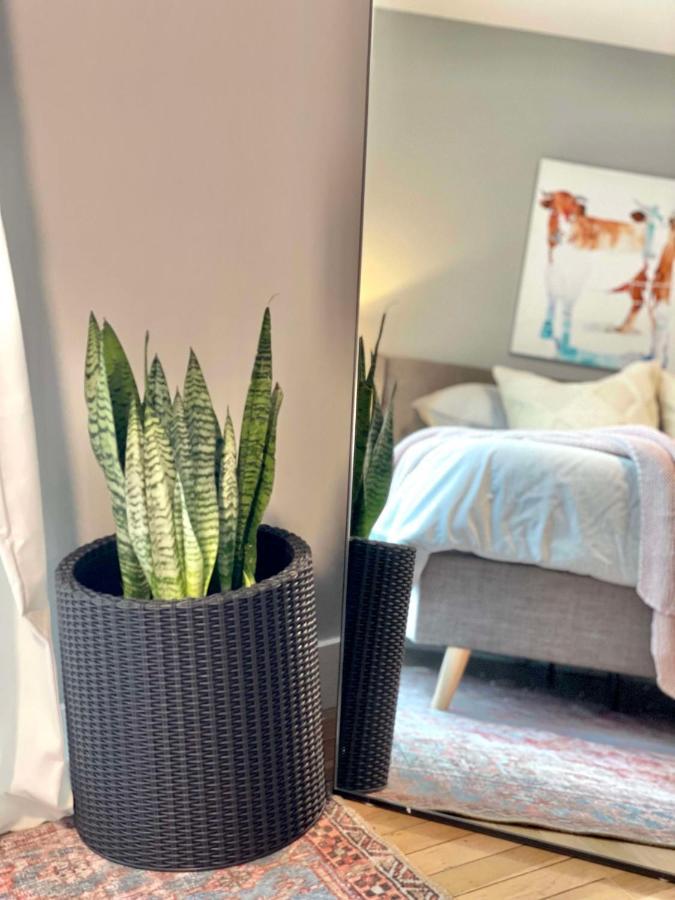 2Br In Heart Of Queen Village - Walk To Everything! Philadelphie Extérieur photo